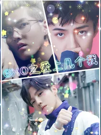 EXO之爱上几个我