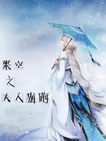 架空之夫人别跑