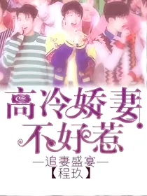追妻盛宴：高冷娇妻不好惹