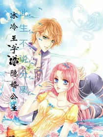 冰冷王子的隐婚公主