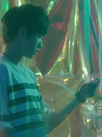 TF家族，血契