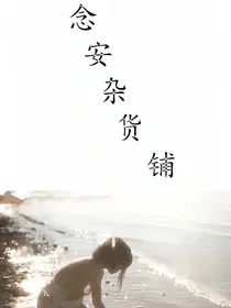 念安杂货铺