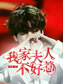 我家夫人不好惹