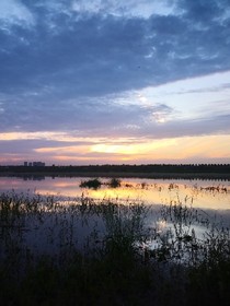 江湖道