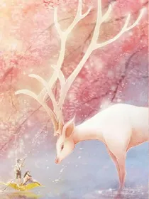 双颖迪的复仇记。