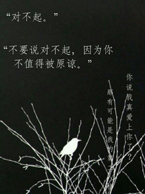 双生誓言