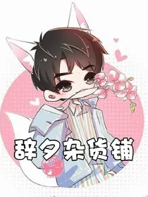 辞夕杂货铺