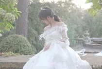 契约爱情.