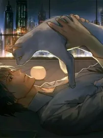 绝世猫妖