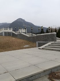 中医探真记