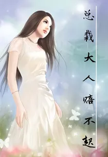 总裁大人赔不起