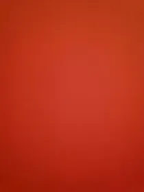 我的宠物是我的双胞胎哥哥