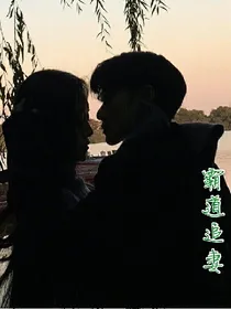 总裁索妻：霸道追妻