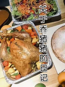 关于乔猪猪的日记