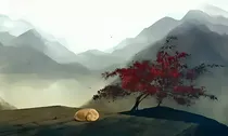快穿之如果我是你