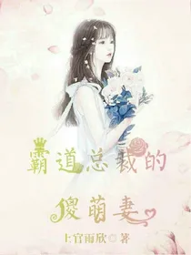 霸道总裁的傻萌妻_d796