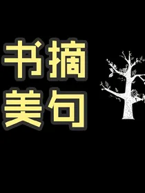 书摘美句