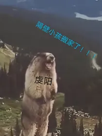 隔壁小孩搬家了