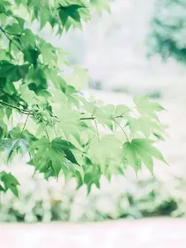 我的第三世界