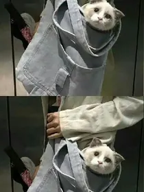 我的主人们