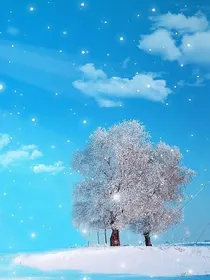 重生之男主快来呀！
