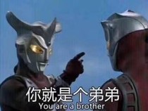 盗之轮回