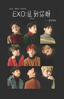 EXO：见到你呀