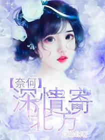奈何深情寄北方