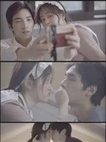 总裁的贴身小女仆
