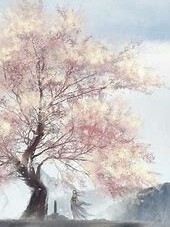 我的皇帝老公
