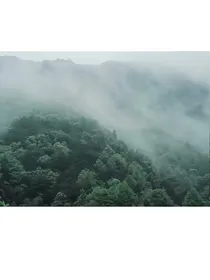 接投稿