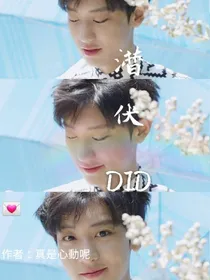 潜伏DID