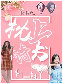 枕上诗书.