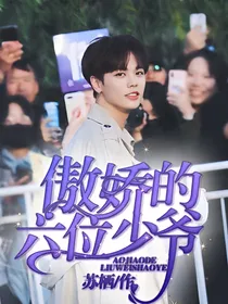 傲娇的六位少爷