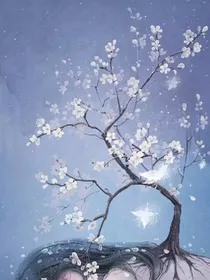 花之语:红颜
