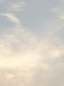 暂时遗忘的过去。