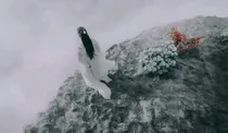 香蜜沉沉烬如霜之倾世绝恋