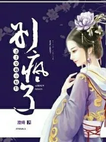杀手穿越；小姐们别疯了