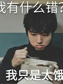 老子就是老婆奴