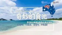 奇妙的食光:大厂团魂