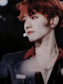 EXO:完美人生