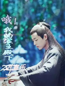 哦!我的宸王殿下.