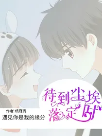待到尘埃落定时