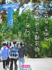 青春的花路:王子欣