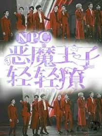 npc：恶魔王子轻轻撩