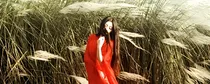 说感情