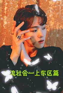 上流社会—上东区