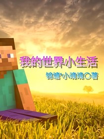我的世界小生活