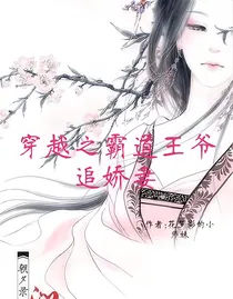 穿越之霸道王爷追娇妻