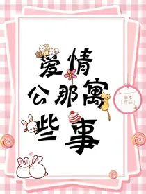 爱情公寓那些事